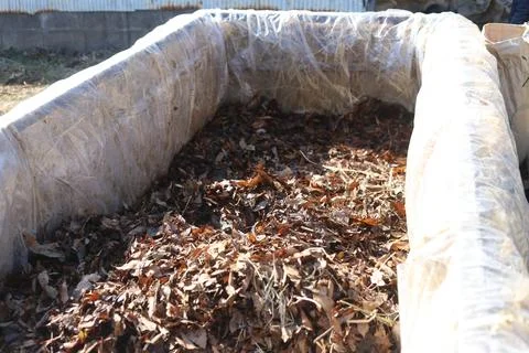 The process of creating a hotbed by stepping on the ground. Stock Photos