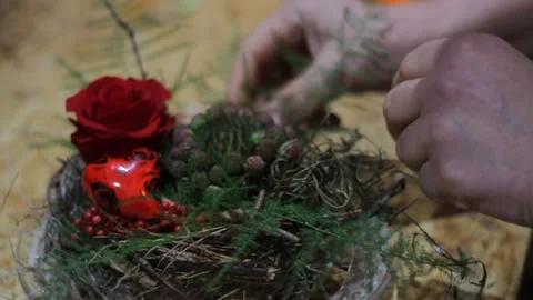 Process of creating a small floral composition with a succulent plant on a Stock Footage 195699155