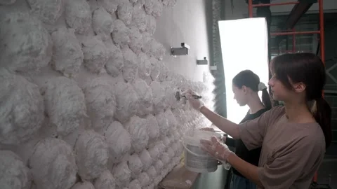 The process of creating wall decor using a repeated pattern of abstract plaster Stock Footage 293735244