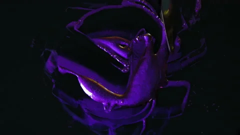 Process of creating watercolor using palette knife and pigment, black background Stock Footage 138805806