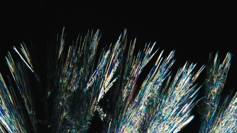 The process of crystal formation under a microscope timelapse Stock-Footage 88733256