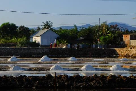 The process of crystallization of sea water into salt in the traditional wa.. Stock Photos