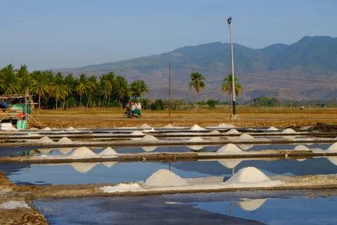 The process of crystallization of sea water into salt in the traditional wa.. Stock Photos