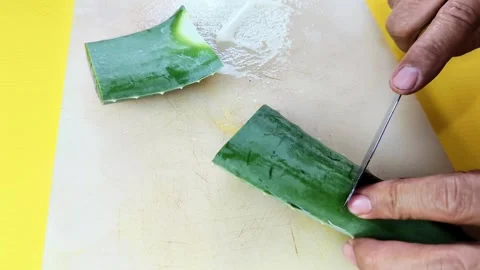 The process of cutting Aloe Vera to be processed into healthy food and drin.. Stock Footage 295762623
