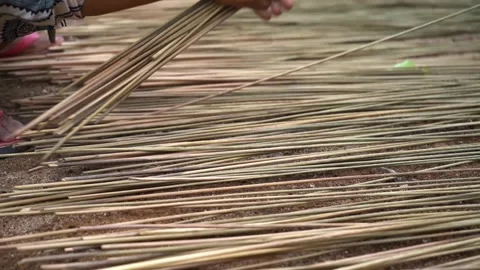 The process of cutting and cleaning purun plants or Fimbristylis umbellaris Stock Footage 258810736