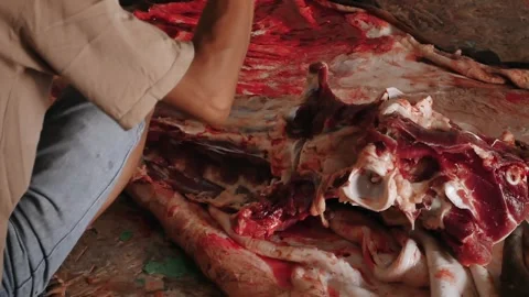 The process of cutting the bones cows. Vidéo 277721308