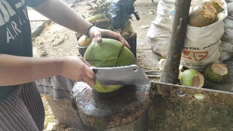 A process of cutting coconut fruit open Stock Footage 259535399
