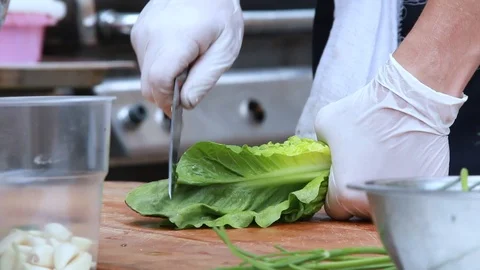 The process of cutting green lettuce Stock Footage 107533965