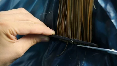 Process of cutting hair Stock Footage