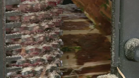 The process of cutting logs into planks. Automatic line sawing Stock Footage 163632736