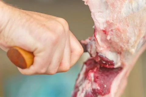 The process of cutting meat for the celebration of Eid al-Adha. Muslim sacrifice Stock Photos
