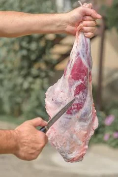 The process of cutting meat for the celebration of Eid al-Adha. Muslim sacrifice Stock Photos