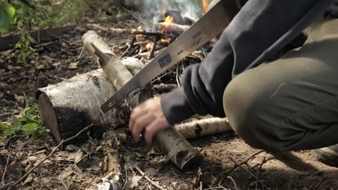 The process of cutting wood for a fire Stock Footage 275571523
