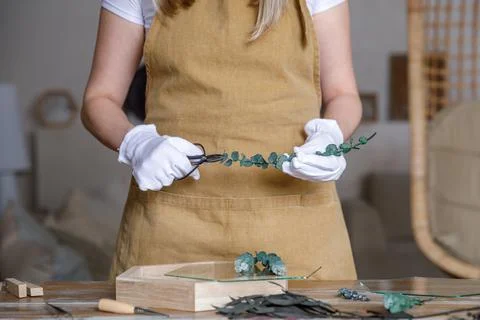 The process of decorating do it yourself. woman works with flowers in a small Stock Photos