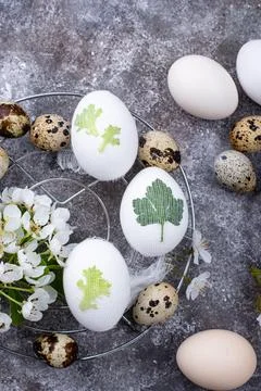 Process of decorating Easter eggs Stock Photos