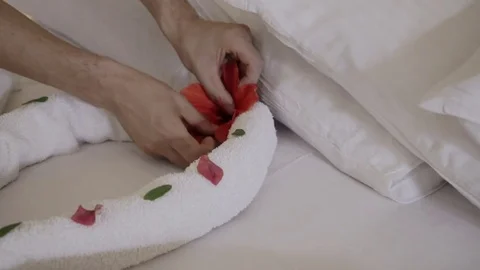 The process of decorating rooms in the hotel using towels and rose petals. close Stock Footage 84075166