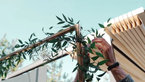 Process of decorating wedding arch Video stock 150118584