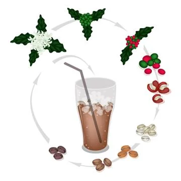 The Process of A Delicious Iced Coffee Stock Illustration