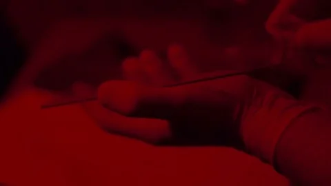 Process development photos close-up Stock Footage 71589414