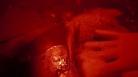 Process development photos close-up Video stock 71591582