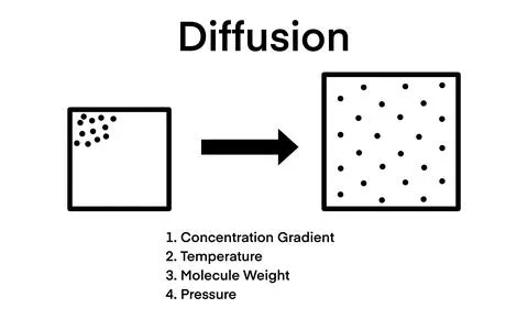 Process of diffusion, particles move from an area of high concentration Stock Illustration