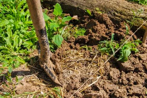 The process of digging the ground with a shovel Stock Photos