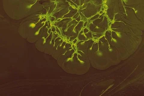 Process of dissolving acrylic paint into water. Amazing abstract background Stock Illustration