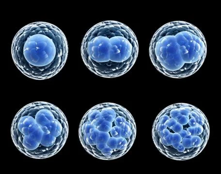 Process division of cell 库存插图