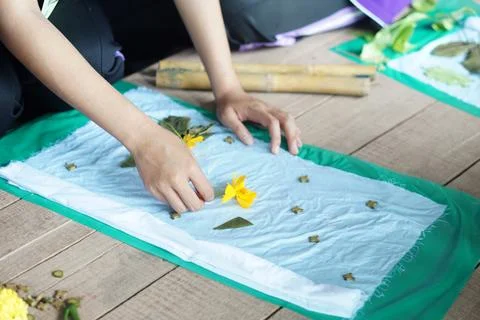 Process of doing handmade eco printing from nature color Stock Photos