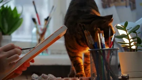 The process of drawing . Stock Footage 229376483