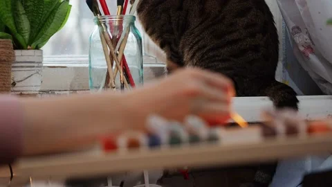 The process of drawing . Stock Footage 229488562