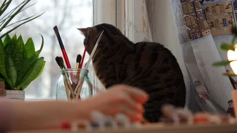 The process of drawing . Stock Footage 229488598