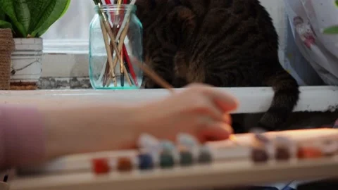 The process of drawing . Stock Footage 229488602