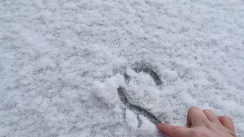 The process of drawing a heart by hand on the snow on a car windshield Stock Footage 328026095