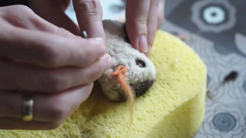 The process of dry felting. Stock Footage 72283333