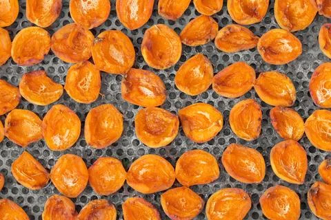 The process of drying apricots in the open air in the village. Stock Photos