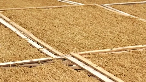 The process of drying chopped tobacco leaves on bamboo mats. Stock-Footage 291858842