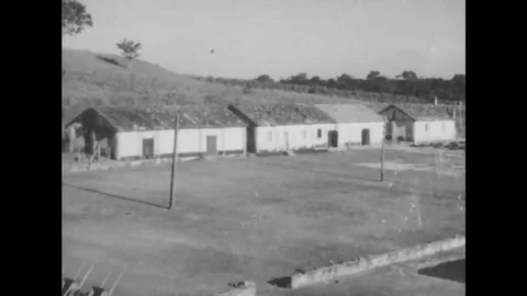 The process of drying coffee beans in 1930s Brazil Video stock 116043518