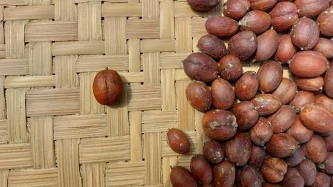The process of drying coffee beans Stock Photos