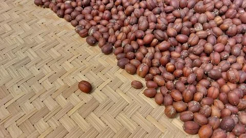 The process of drying coffee beans Stock-Fotos