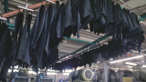 Process of drying of a natural leather. Stock Footage 79483378