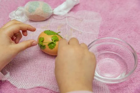 The process of dyeing eggs into onion husks. Ecological coloring of eggs for  Stock Photos