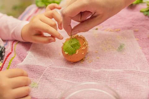 The process of dyeing eggs into onion husks. Ecological coloring of eggs for  Stock Photos