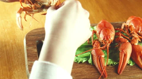 Process of eating of a crawfish Stock Footage 100537123