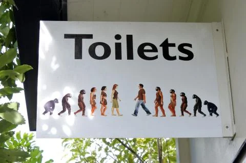 Process of evolution toilets sign Stock Photos