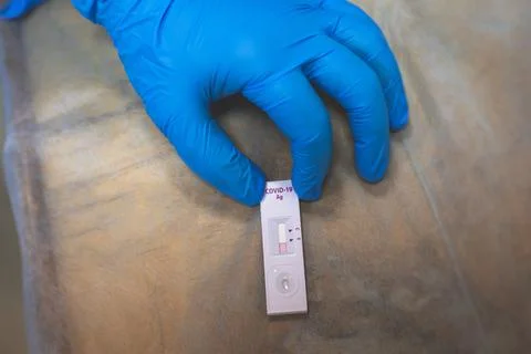 Process of express fast coronavirus testing examination by medic, COVID-19 sw Stock Photos