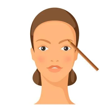 Process of eyebrow drawing to face. Illustration of beautiful woman with make up Stock Illustration