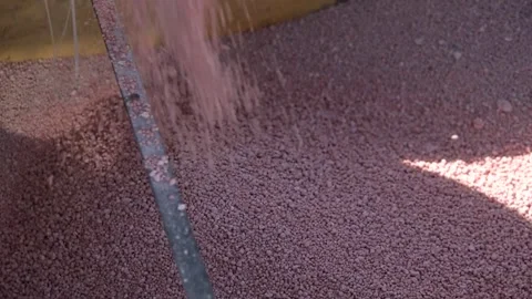 Process of fertilizing the soil, filling the seed machine tank with fertilizer Stock Footage 228737281