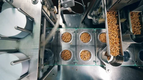 Process of filling containers with wheat crackers at a food factory. Robotic Stock Footage 111646375