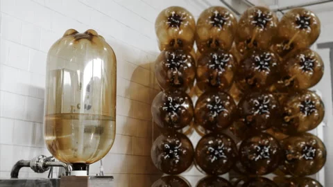 The process of filling a plastic keg with beer, water and drinks. Stock Footage 284639501